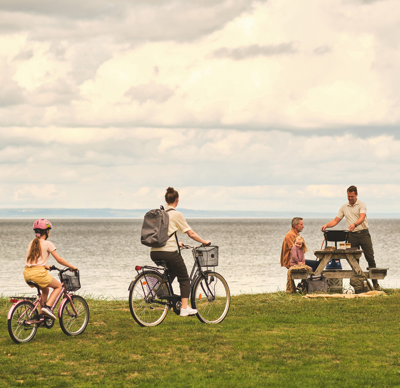 Kaasu setti SL musta 48 cm